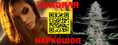 индика Апшеронск
