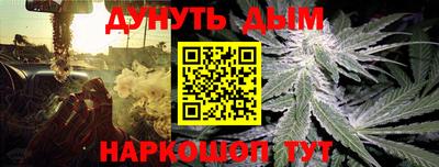 индика Апшеронск