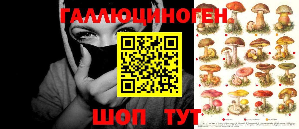 Гашиш  Бошки Шишки  Cocaine  МЕТ  Меф МЯУ МЯУ   Владимир  Вход с VPN  LSD-25  Альфа ПВП СК   МАРИХУАНА 