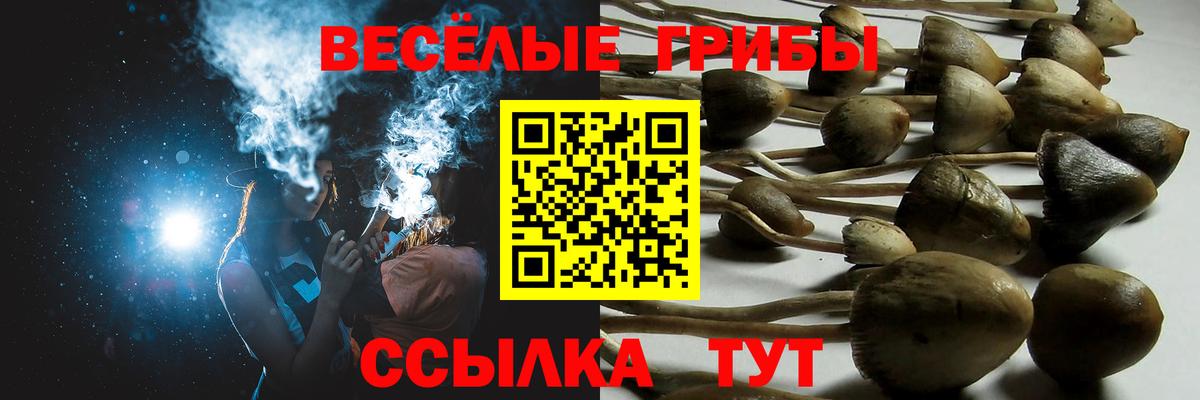 Псилоцибиновые грибы GOLDEN TEACHER Владимир